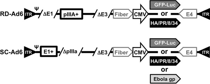 FIG 1