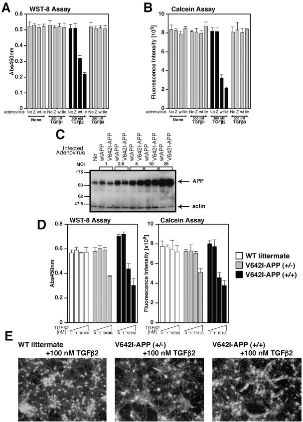 FIG.8.