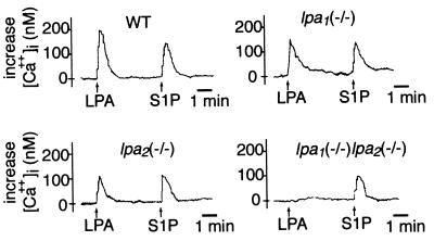 FIG. 5.