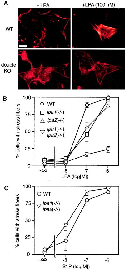 FIG. 8.