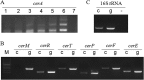 FIG 2