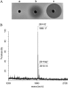 FIG 3