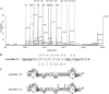 FIG 6