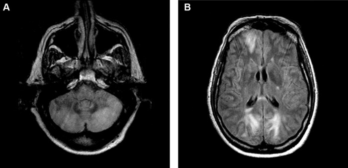 FIGURE 2 