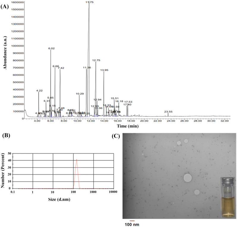 Fig. 3