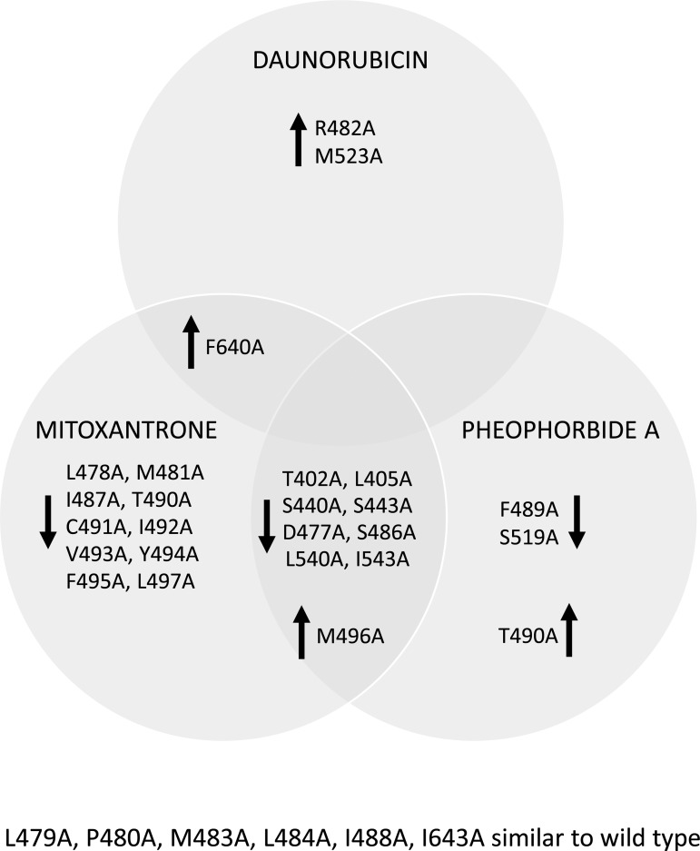 Figure 4.