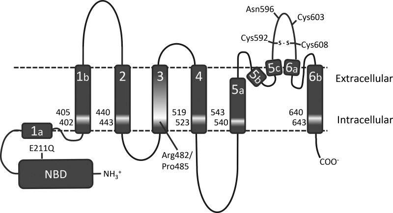 Figure 1.