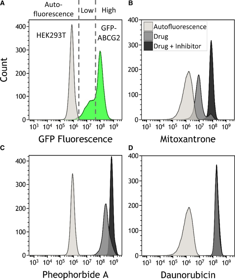 Figure 3.