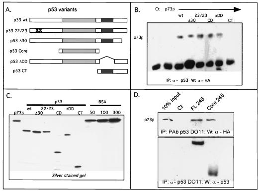 FIG. 8