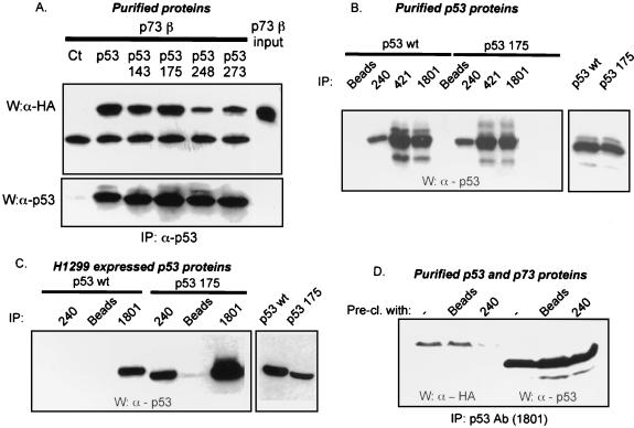 FIG. 7