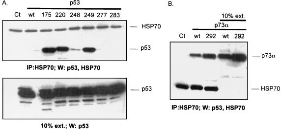 FIG. 10