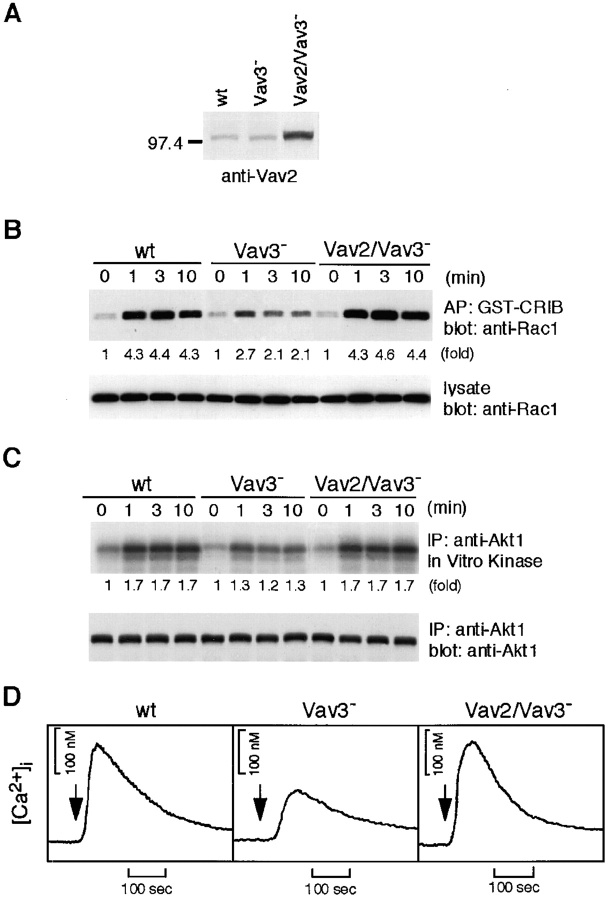 Figure 10.