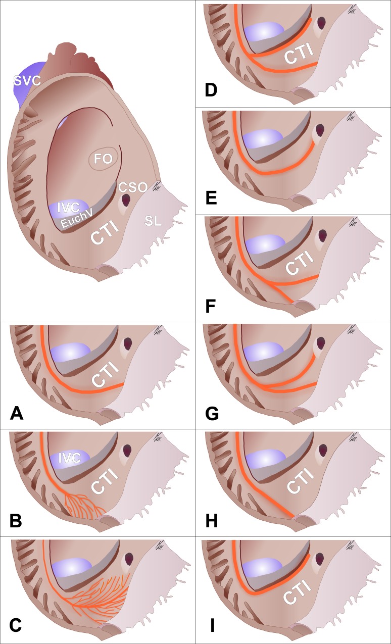 Fig 7