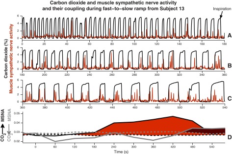 Fig. 9.