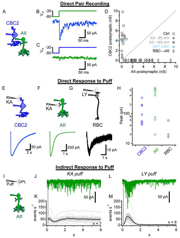 Figure 3 ∣