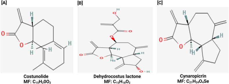 Fig. 7