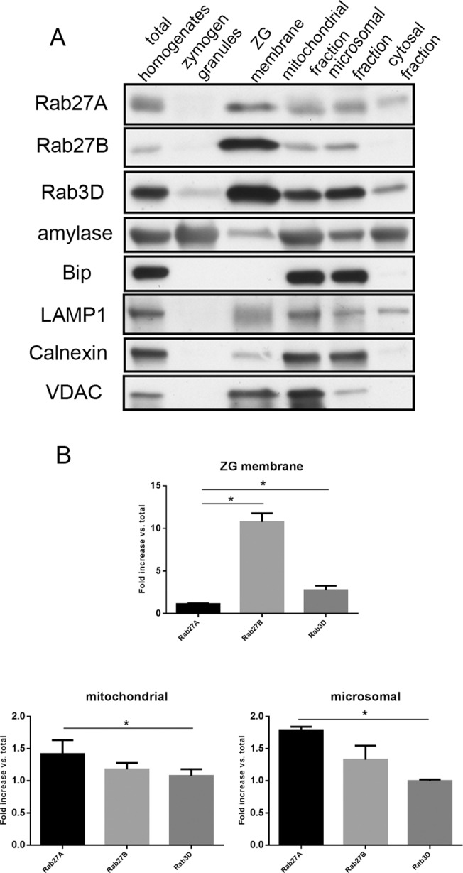 Fig 5