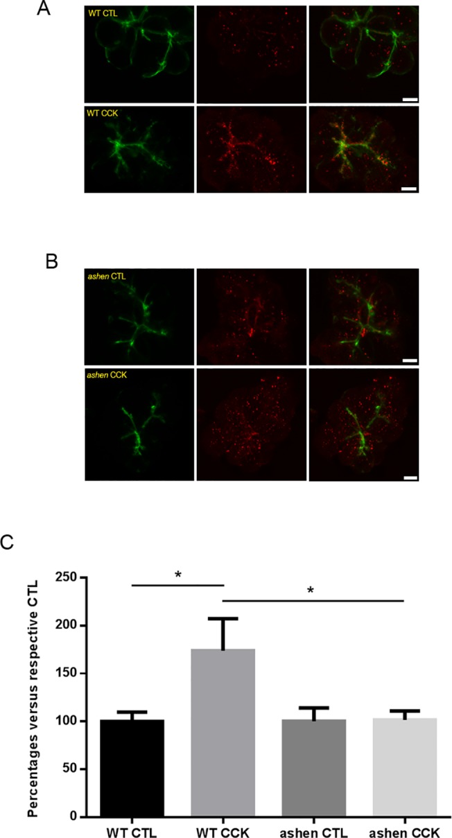 Fig 8