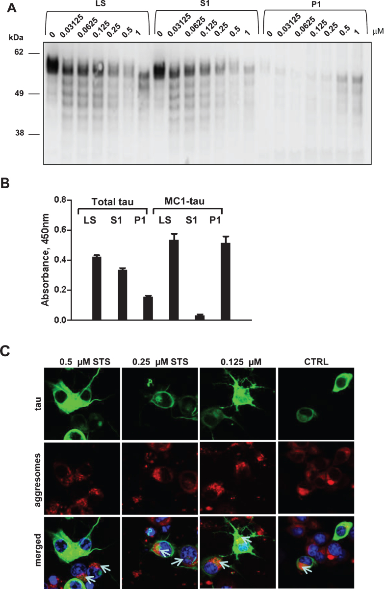 Fig.6