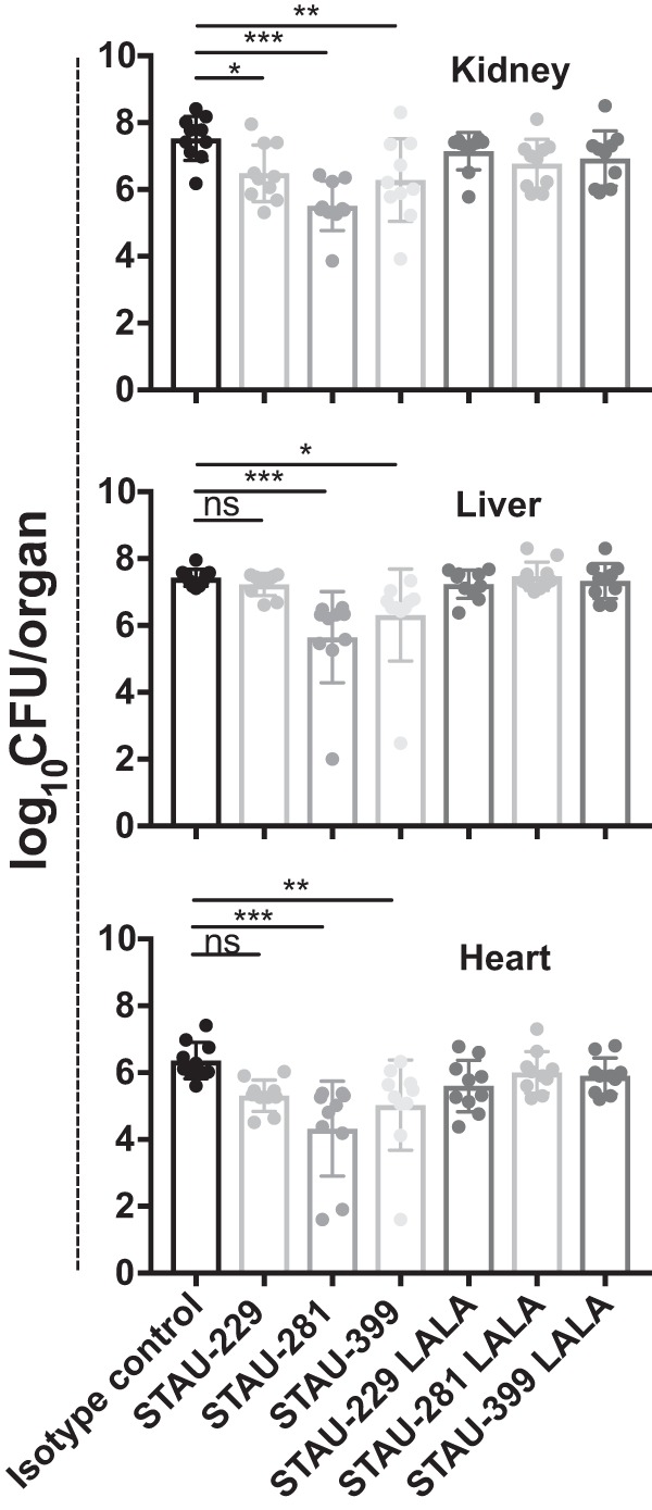 FIG 6