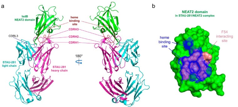 FIG 1