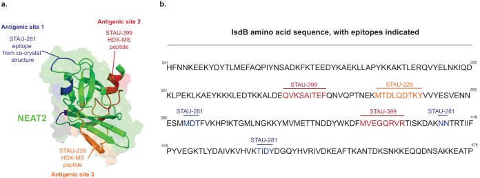 FIG 3