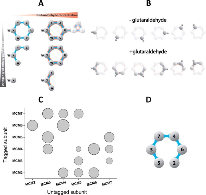 Fig. 3.