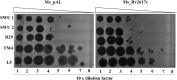 Fig. 9
