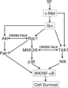 FIGURE 13.