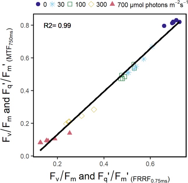 Fig. 7