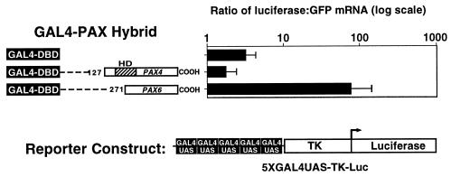 FIG. 6