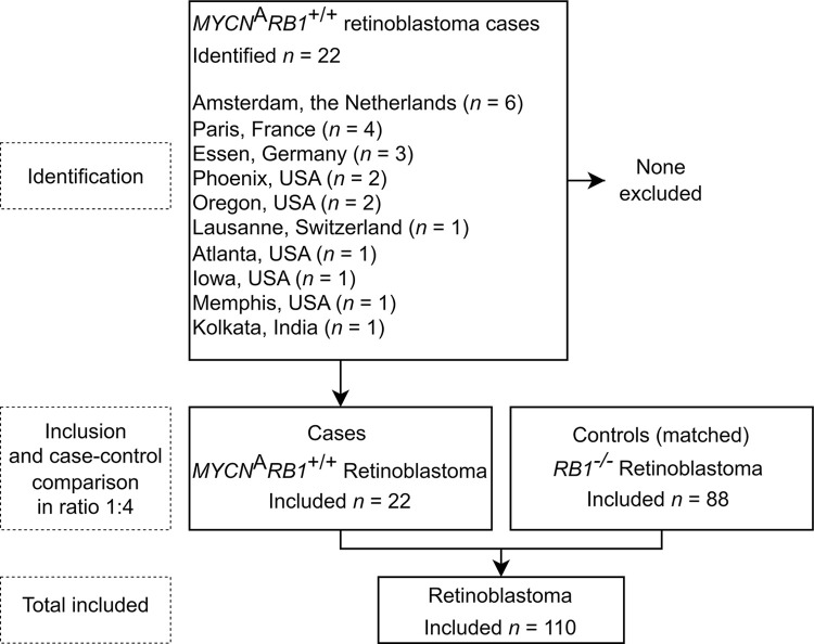 Flowchart diagram shows inclusion of patients in this case-control study with a ratio between cases and controls of 1:4. Cases are patients with MYCN-amplified RB1 wild-type (MYCNARB1+/+) retinoblastoma, and controls are patients with biallelic pathogenic variation of RB1–driven (ie, RB1−/−) retinoblastoma.