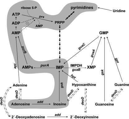 FIGURE 1.