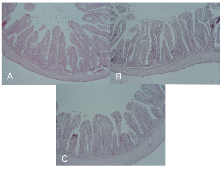 Figure 14