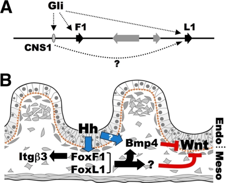 FIGURE 7.