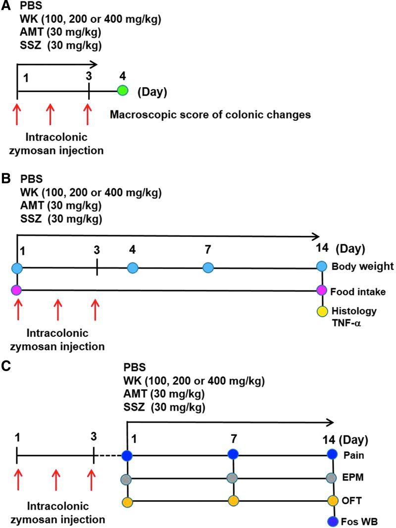 FIG. 2.