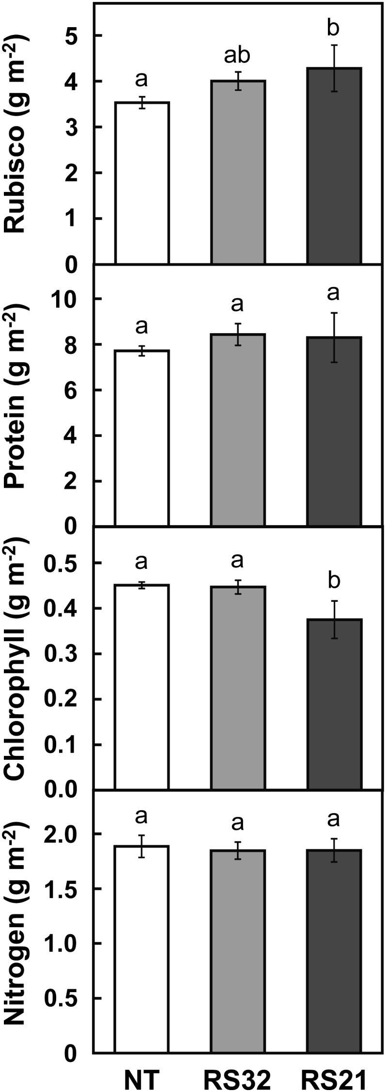 Figure 7.