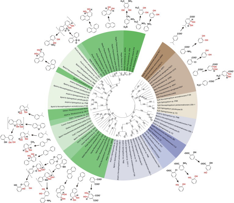 Fig. 2