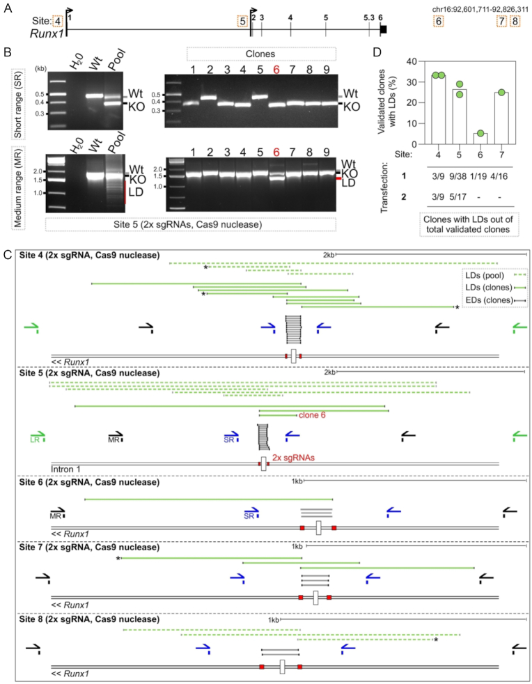 Figure 2.