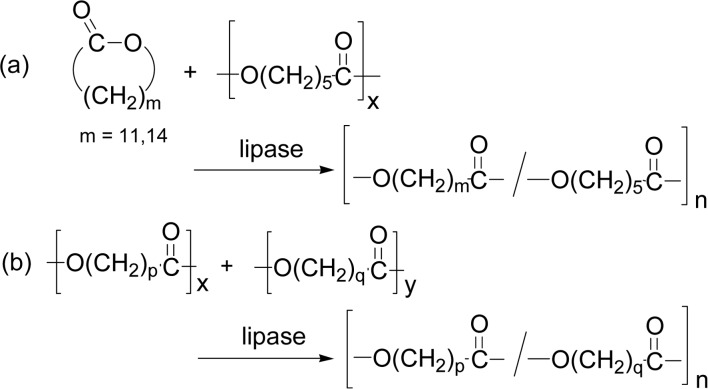 Scheme 15