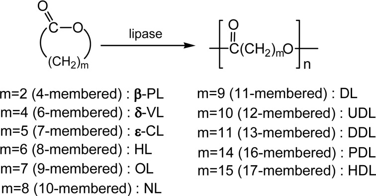 Scheme 6