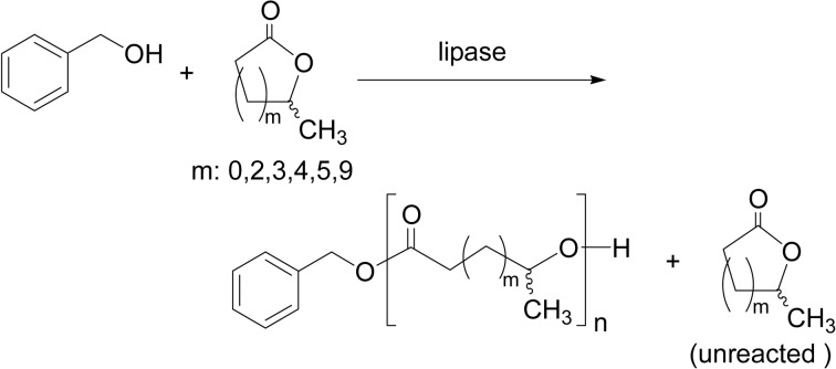 Scheme 20