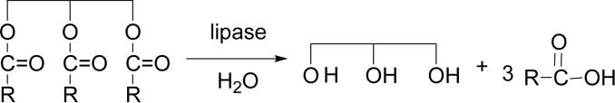 Scheme 3