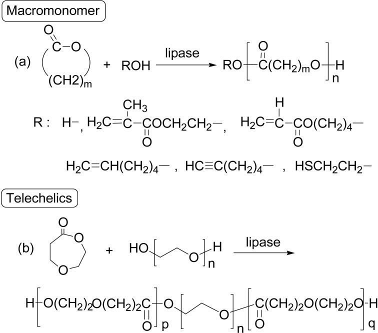 Scheme 16