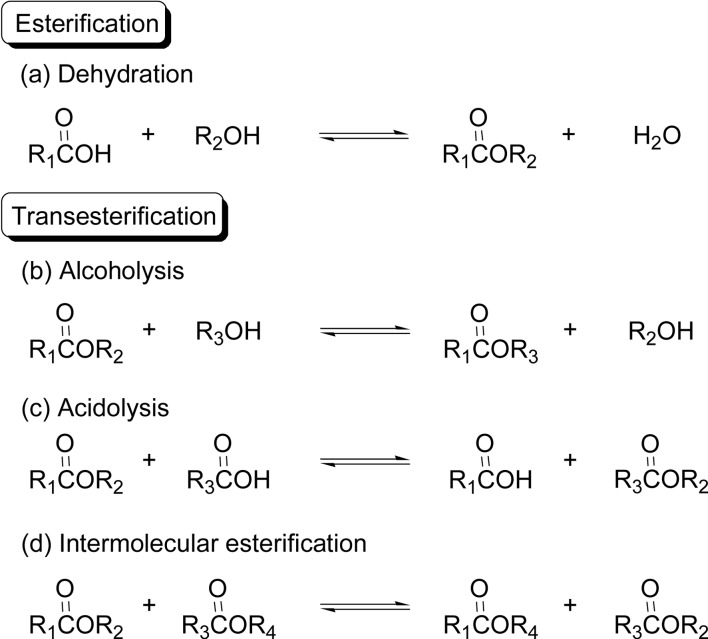 Scheme 26