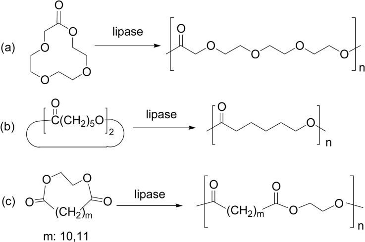 Scheme 9