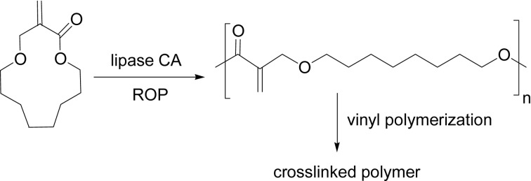 Scheme 18