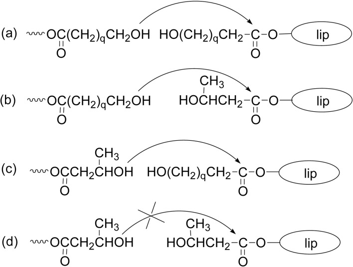 Scheme 14