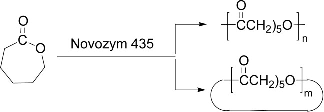 Scheme 8