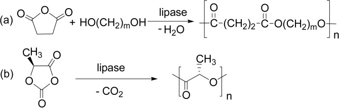 Scheme 23